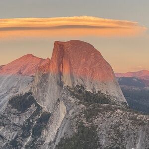 Meet your Posher, Shelby